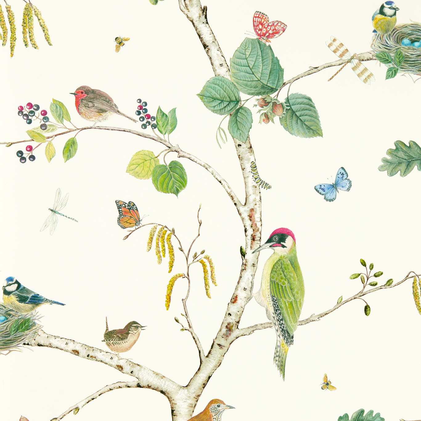 Woodland Chorus 217230